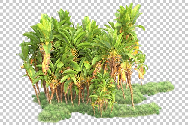 Gebladerte eiland geïsoleerd op transparante achtergrond 3d rendering illustratie