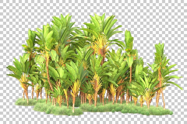 Gebladerte eiland geïsoleerd op transparante achtergrond 3d rendering illustratie