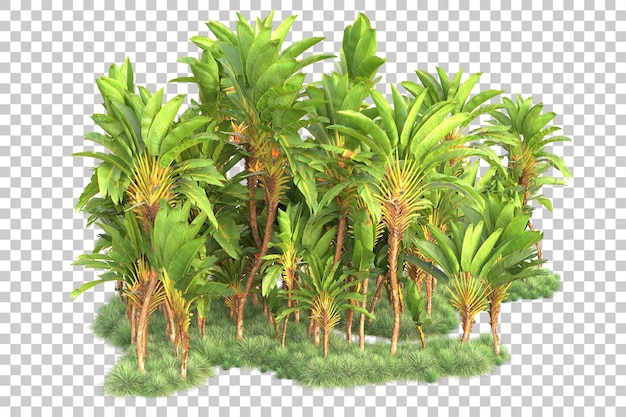 Gebladerte eiland geïsoleerd op transparante achtergrond 3d rendering illustratie