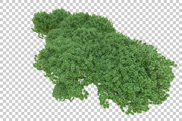 Gebladerte eiland geïsoleerd op witte achtergrond 3d rendering illustratie