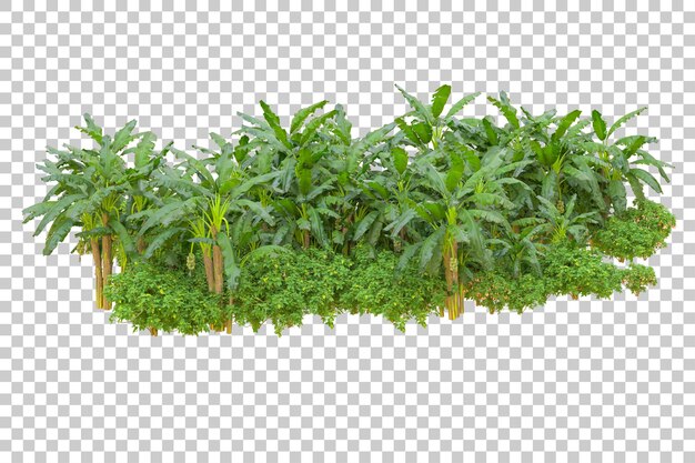 Gebladerte eiland geïsoleerd op witte achtergrond 3d rendering illustratie