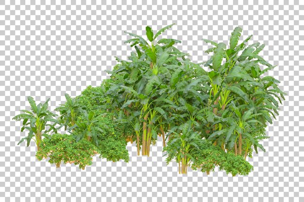Gebladerte eiland geïsoleerd op witte achtergrond 3d rendering illustratie