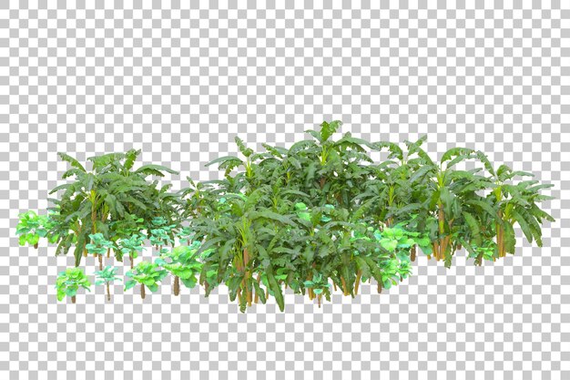 Gebladerte eiland geïsoleerd op witte achtergrond 3d rendering illustratie