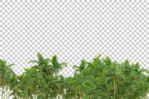 Gebladerte eiland geïsoleerd op witte achtergrond 3d rendering illustratie