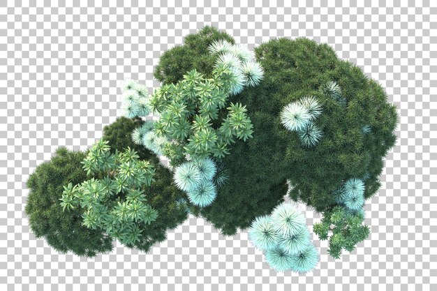 Gebladerte eiland geïsoleerd op witte achtergrond 3d rendering illustratie