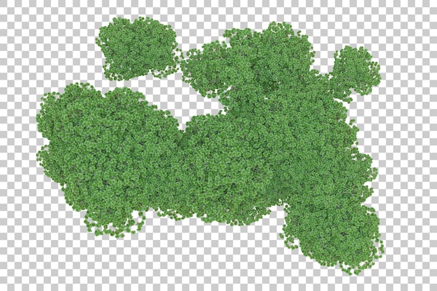Gebladerte eiland geïsoleerd op witte achtergrond 3d rendering illustratie