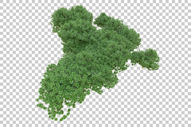 Gebladerte eiland geïsoleerd op witte achtergrond 3d rendering illustratie