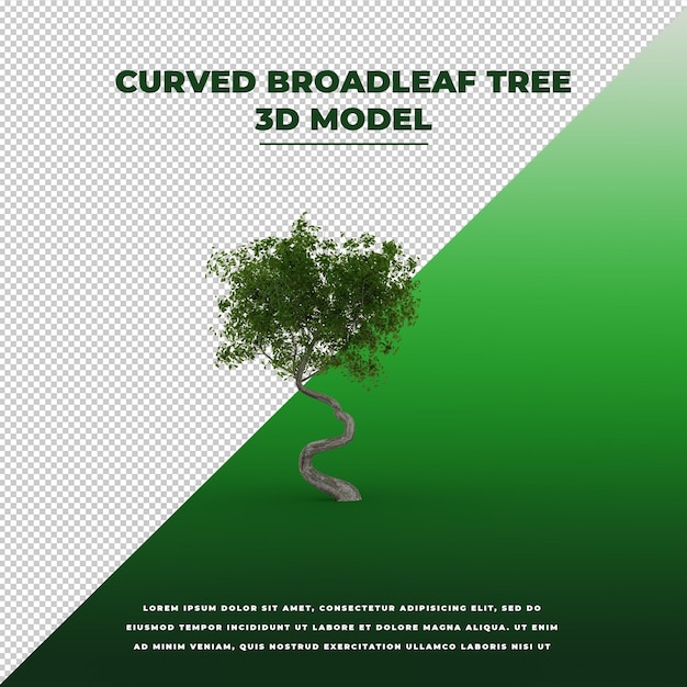 Gebogen Broadleaf Tree 3D geïsoleerd model