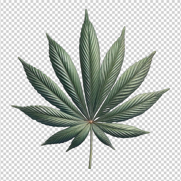 PSD gedetailleerde cannabis bud closeup png