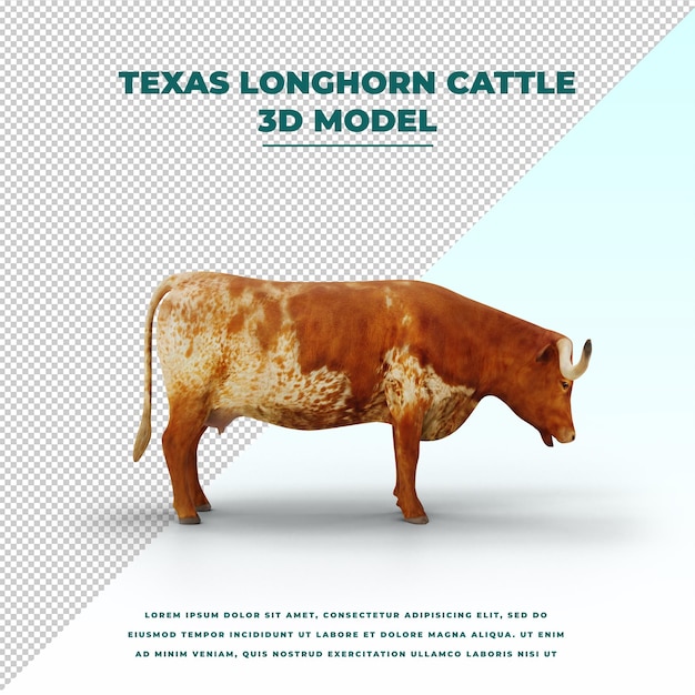 PSD geïsoleerd vee van texas longhorn