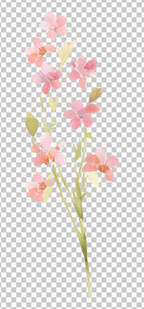 PSD geïsoleerde aquarelillustratie van een tak met roze bloemen en groene bladeren