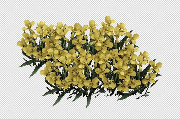 PSD geïsoleerde bloemen in 3d-rendering