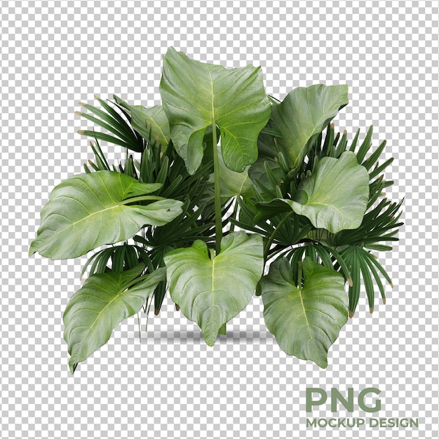 geïsoleerde planten scène maker