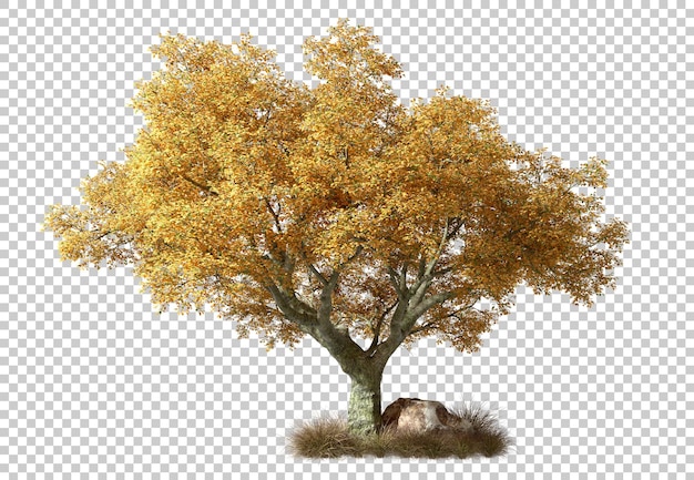 Gele bladeren boom op gedroogd gras scène doorzichtige achtergronden 3d illustraties png