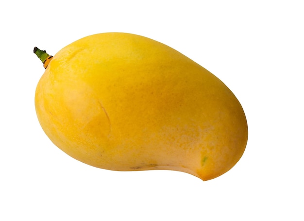 Gele Mango Op Alfalaag