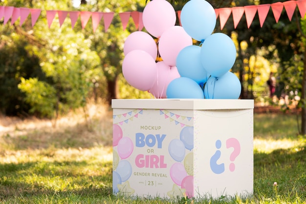 PSD gender onthullen party mockup