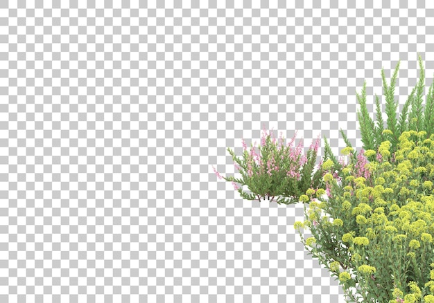 PSD geneeskrachtige planten op transparante achtergrond 3d-rendering illustratie