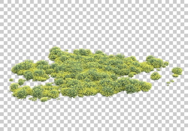 PSD geneeskrachtige planten op transparante achtergrond 3d-rendering illustratie