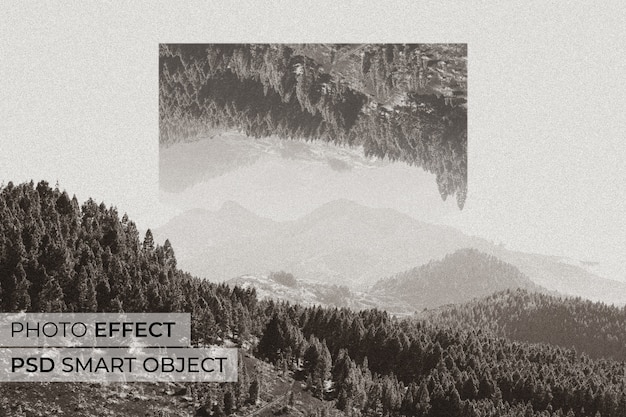 geometrical reflection photo effect