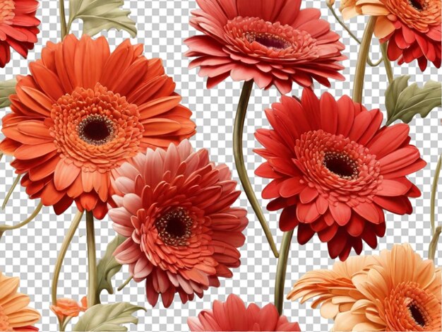 PSD gerbera daisy bloem png geïsoleerd op doorzichtige achtergrond