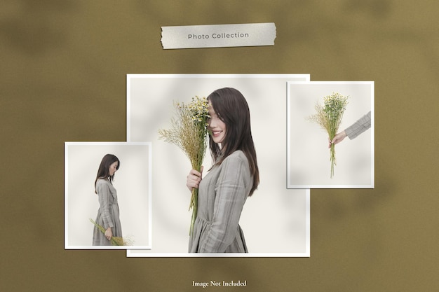 Gescheurd papier fotolijst set mockup met natuurlijke boom en bladeren schaduw overlay