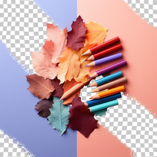 PSD geslepen gekleurde potloden op een doorzichtige achtergrond