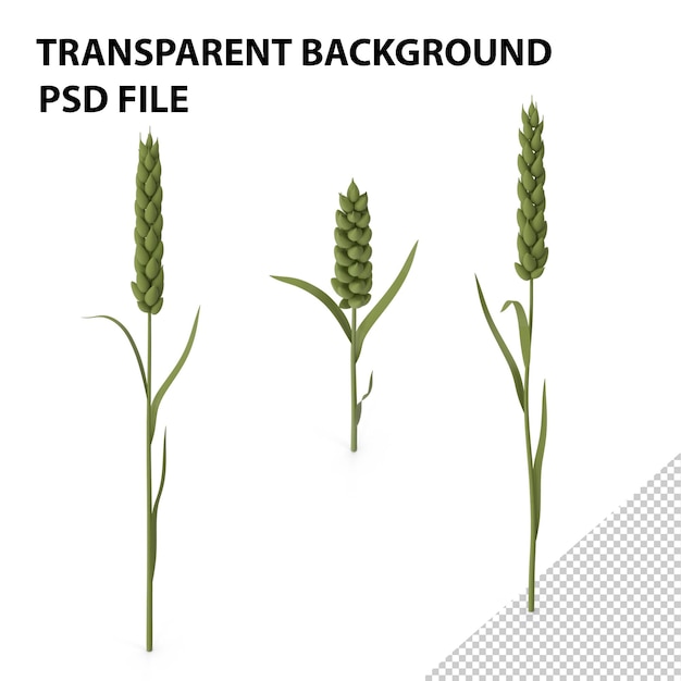 PSD gestileerde tarwe png