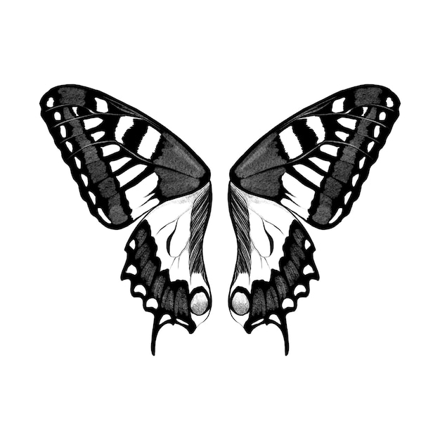 PSD giant butterfly wings