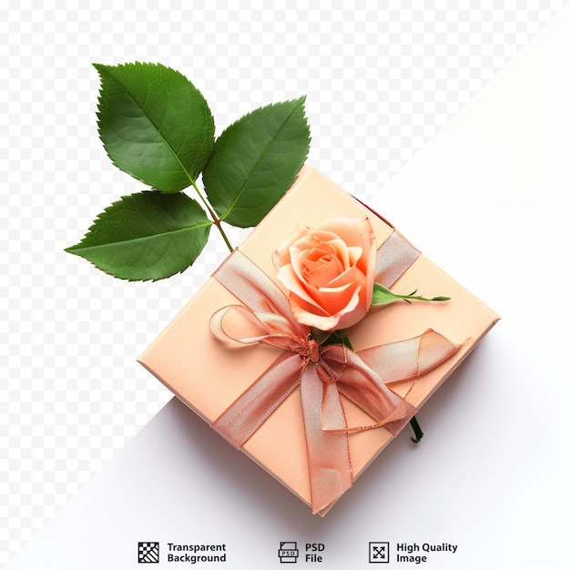 Gift box and rose flowers isolated on white