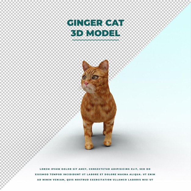 Ginger cat