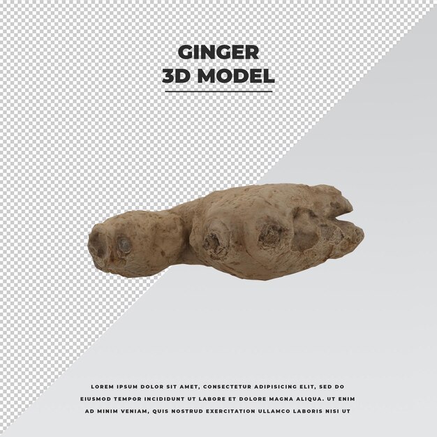 PSD ginger