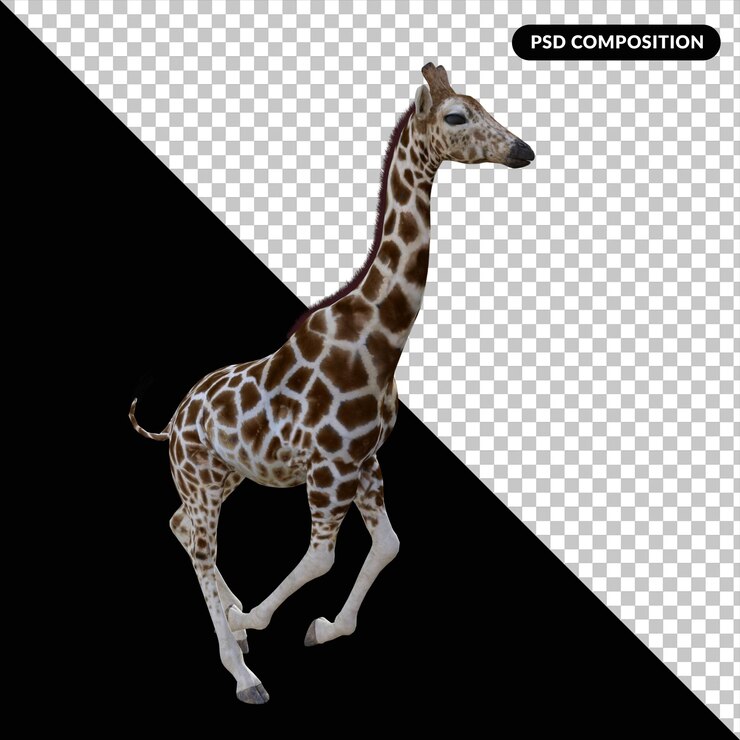 PSD キリン動物分離 3 d