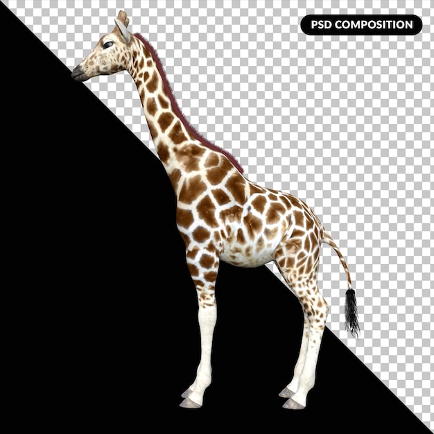 PSD animale della giraffa isolato 3d