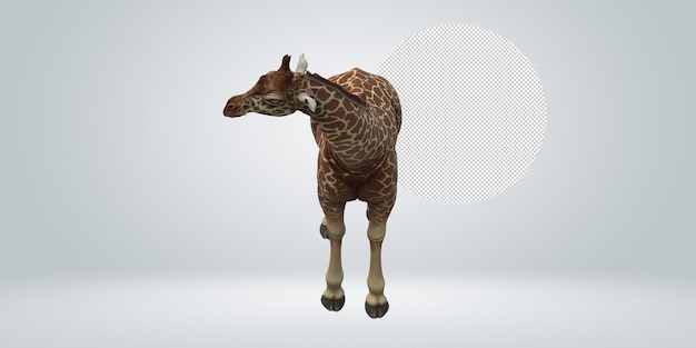 PSD giraffe isolated on a transparent background