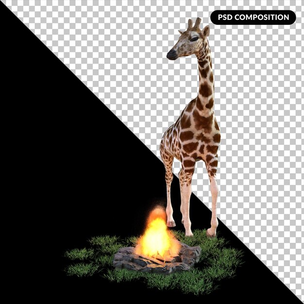 PSD giraffe with grass isolated 3d rendering