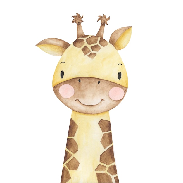 Giraffa