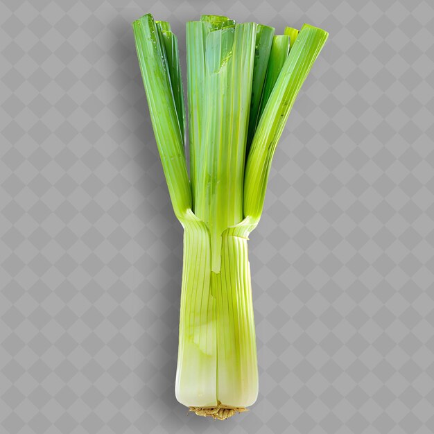 PSD a glass vase with a piece of celery inside it