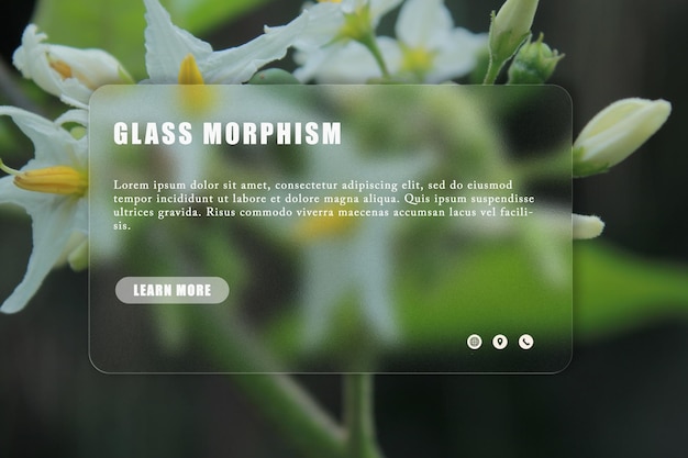 Glassmorphism banner template design