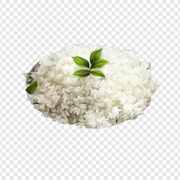 PSD glorified rice isolated on transparent background