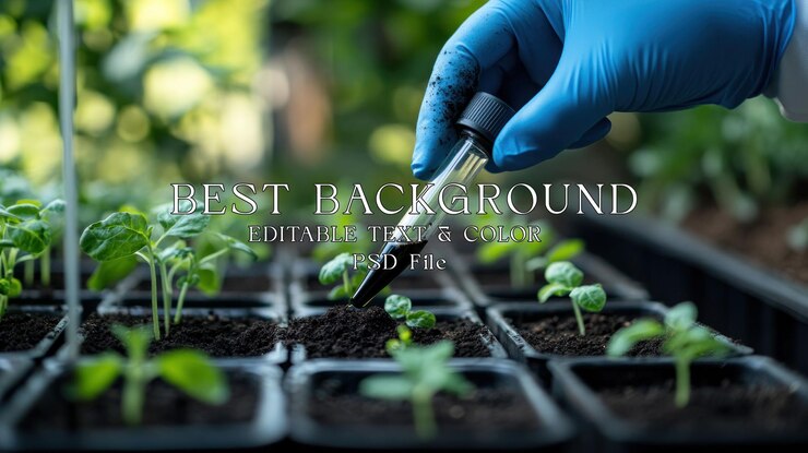 PSD gloved hand applying liquid to seedlings in a tray
