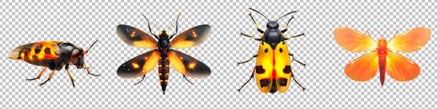 PSD glowing firefly beetles isolated on transparent background