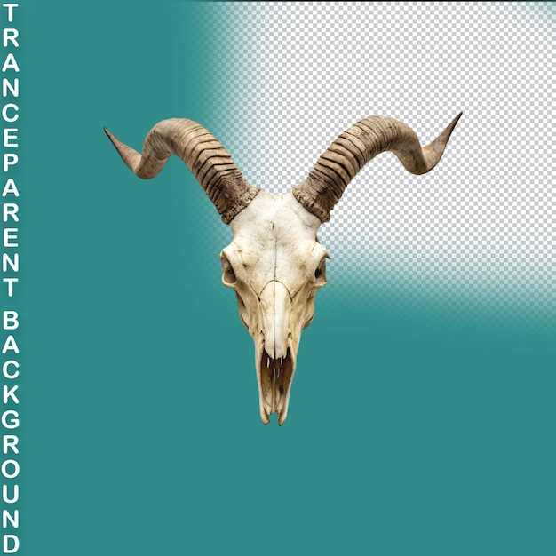 PSD goat skull isolated on transparent background