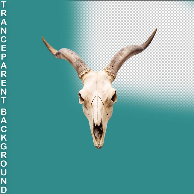 PSD goat skull isolated on transparent background