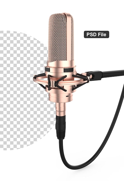 PSD gold dynamic microphone with cable isolated