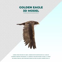 Golden eagle isolated