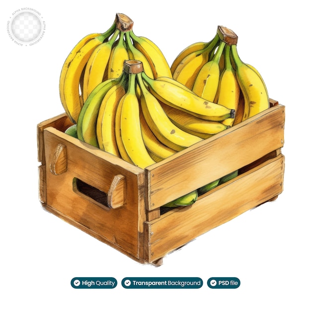 PSD 황금수확 바나나 상자 수채화 걸작