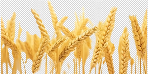 PSD golden wheat field artificial intelligence generative