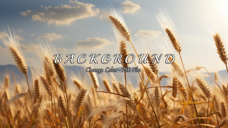 PSD golden wheat field under sunny sky with soft clouds and distant mountains in background capturing the essence of agriculture and natures beauty