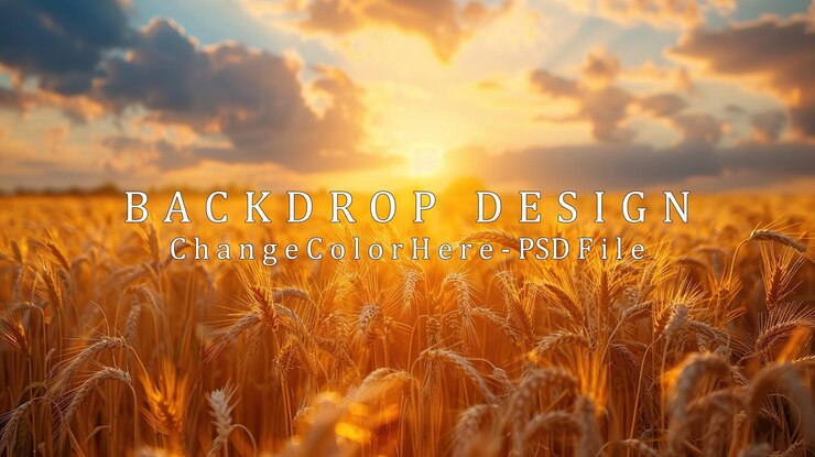 PSD golden wheat field at sunset