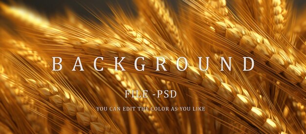 PSD golden wheat plant background